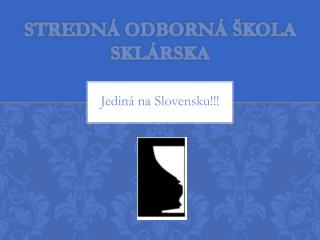 Stredná odborná škola sklárska