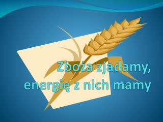 Zboża zjadamy, energię z nich mamy