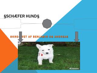 §Schæfer Hund§