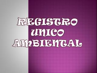 REGISTRO UNICO AMBIENTAL