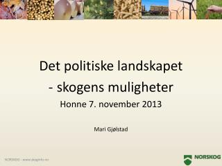 Det politiske landskapet skogens muligheter Honne 7. november 2013 Mari Gjølstad