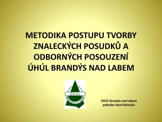 METODIKA POSTUPU TVORBY ZNALECKÝCH POSUDKŮ A ODBORNÝCH POSOUZENÍ ÚHÚL BRANDÝS NAD LABEM