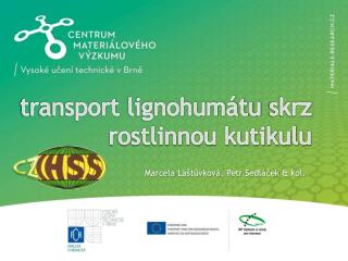 transport lignohumátu skrz rostlinnou kutikulu