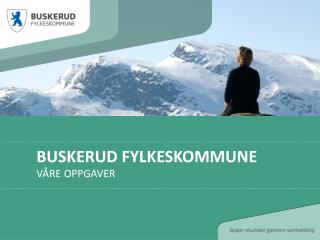 Buskerud fylkeskommune