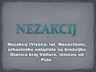 NEZAKCIJ