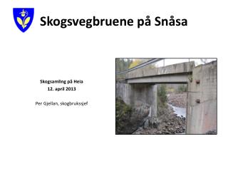 Skogsvegbruene på Snåsa