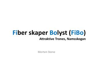 Fi ber skaper Bo lyst ( FiBo ) Attraktive Trones, Namsskogan