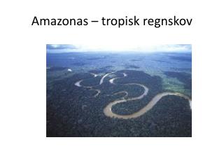 Amazonas – tropisk regnskov