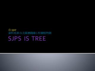 SJPS IS TREE