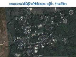 แสดงตำแหน่งที่มีผู้ป่วยไข้เลือดออก หมู่ ที่ 1 ตำบลพิจิตร