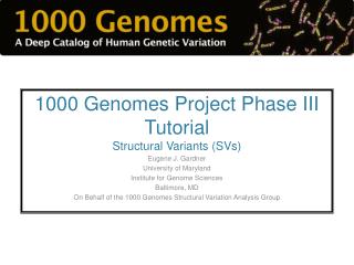 1000 Genomes Project Phase III Tutorial Structural Variants (SVs ) Eugene J. Gardner
