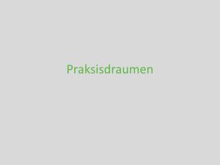 Praksisdraumen