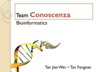 Team Conoscenza