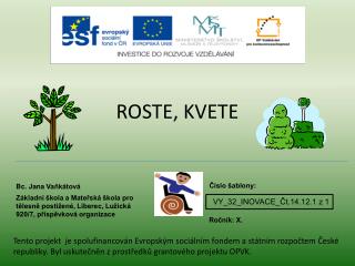 ROSTE, KVETE