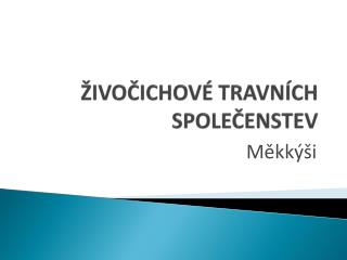 ŽIVOČICHOVÉ TRAVNÍCH SPOLEČENSTEV