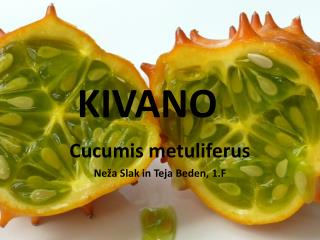 KIVANO