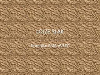 LOJZE SLAK