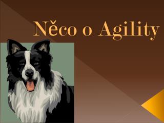 Něco o Agility