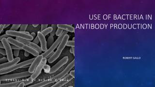 Use of Bacteria in Antibody Production