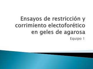 Ensayos de restricción y corrimiento electoforético en geles de agarosa