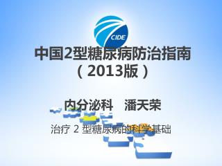 中国 2 型糖尿病防治指南（ 2013 版） 内分泌科 潘天荣