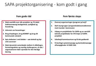 SAPA projektorganisering - kom godt i gang