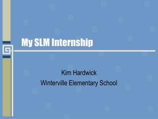 My SLM Internship