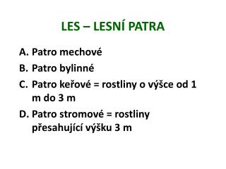 LES – LESNÍ PATRA