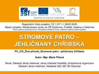 STROMOVÉ PATRO – JEHLIČNANY CHŘIBSKA