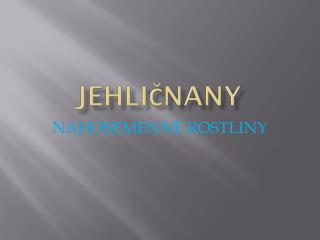 Jehličnany