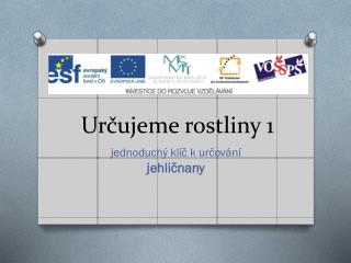 Určujeme rostliny 1