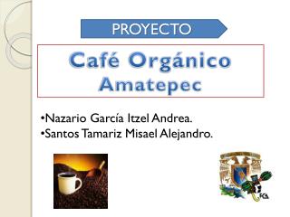 Café Orgánico Amatepec