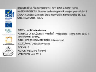 NÁZEV: Jehličnaté stromy