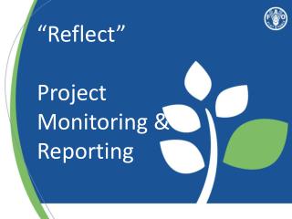 “Reflect” Project Monitoring &amp; Reporting