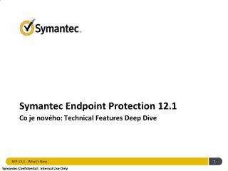 Symantec Endpoint Protection 12.1