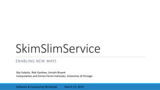 SkimSlimService