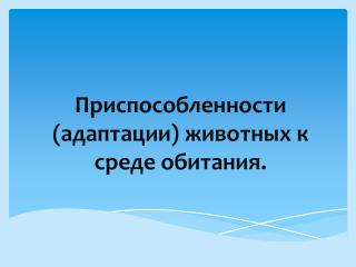 Приспособленности (адаптации) животных к среде обитания.