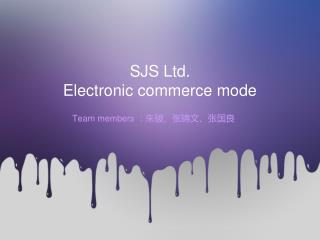 SJS Ltd. Electronic commerce mode