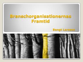 Branschorganisationernas Framtid Bengt Larsson