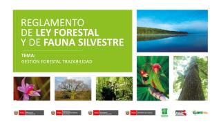 REGLAMENTO DE LEY FORESTAL Y DE FAUNA SILVESTRE