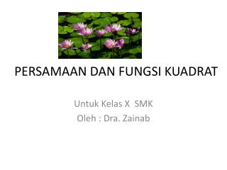 PERSAMAAN DAN FUNGSI KUADRAT