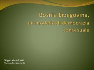 Bosnia Erzegovina, un modello di democrazia consesuale