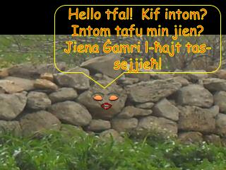 Hello tfal! Kif intom? Intom tafu min jien? Jiena Ġamri l-ħajt tas-sejjieħ!
