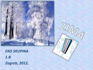 ZIMA