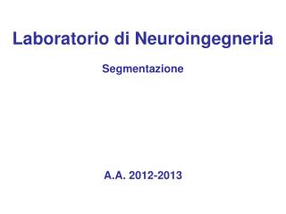 Laboratorio di Neuroingegneria Segmentazione A.A . 2012-2013