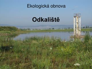 Odkaliště