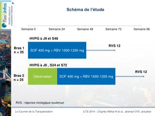 Schéma de l’étude