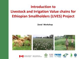 Introduction to Livestock and Irrigation Value chains for Ethiopian Smallholders (LIVES) Project