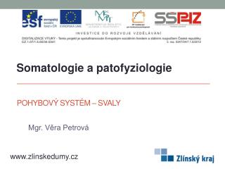 POHYBOVÝ SYSTÉM – svaly