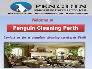 Penguin-Cleaning-Perth-Pty-Ltd